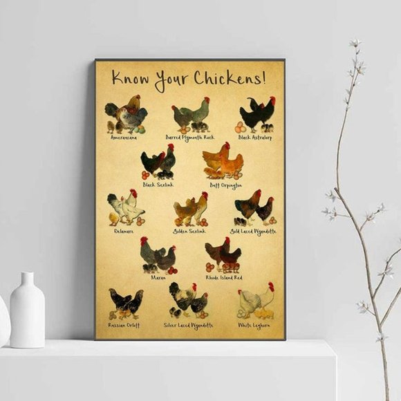 Know Your Chickens Satin Poster No Frame, Chickens - Picture 1 of 1